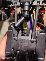 Pascal review photo