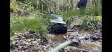 Just from Wales review photo