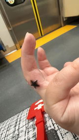 なの店長 review photo