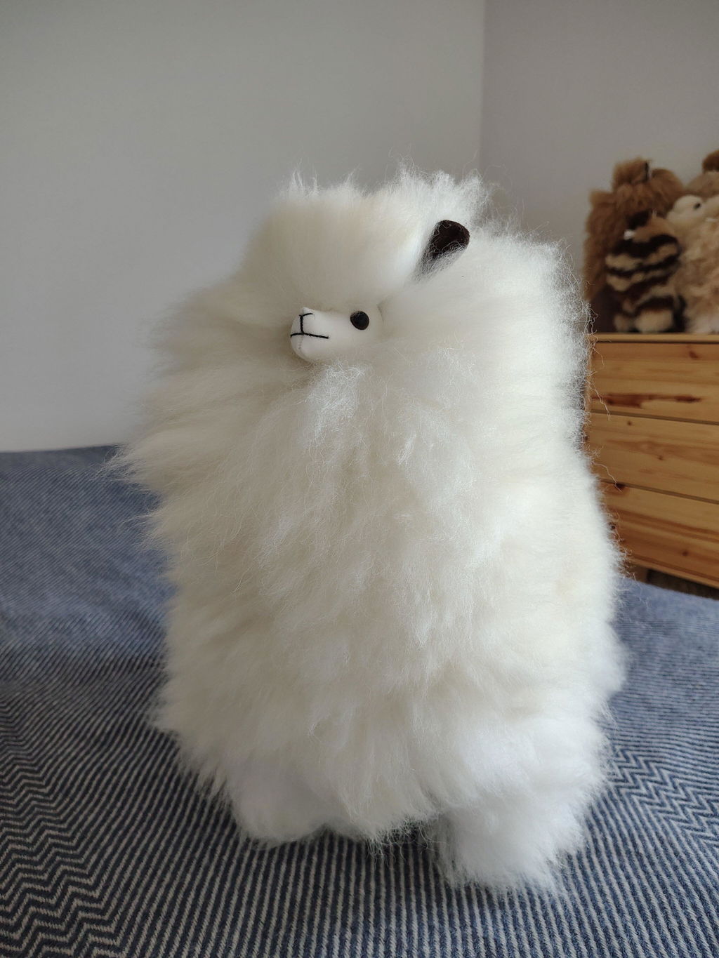 Inkari - Number 1 In Alpaca