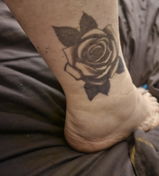 Rose
