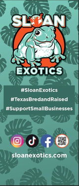 Sloan Exotics review photo