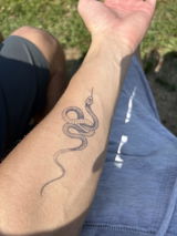 User picture