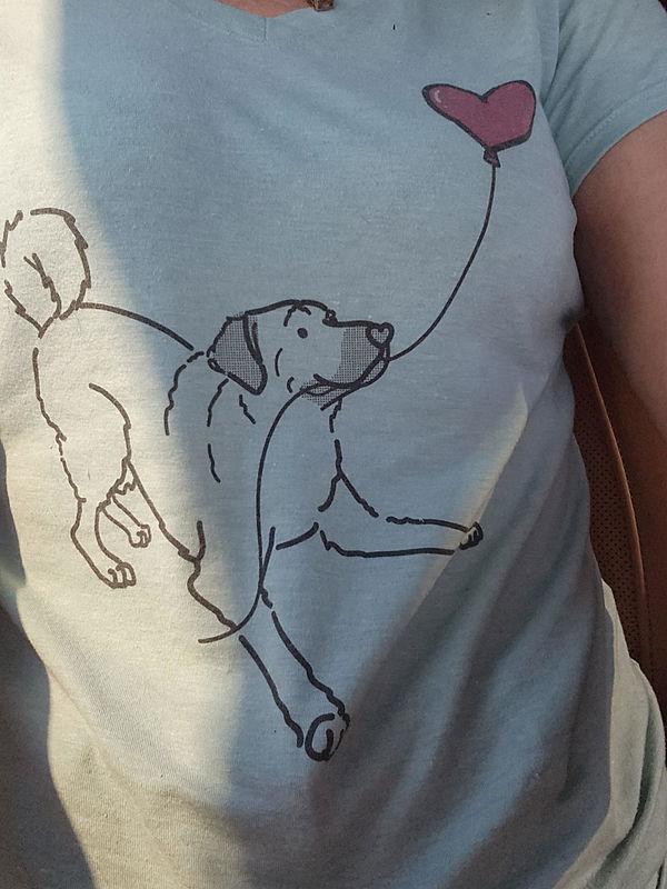 Customer photo: Anatolian Shepherd Heart String - Women's Perfect V-neck Shirt