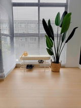 ももこ review photo