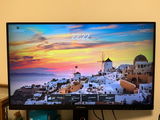 鎌田 review photo