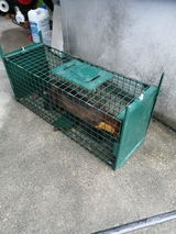 鈴木 review photo