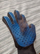 Customer review photo