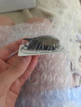 Taesung kim review photo