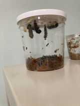 David G. review photo