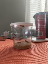 Yasenia V. review photo