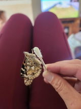 Katheryn C. review photo