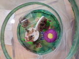 DESIREE D. review photo