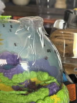 Cindy K. review photo