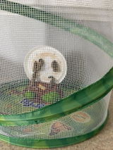Kristine D. review photo