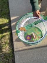 Shawna B. review photo