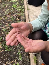 Mazharunnisa A. review photo