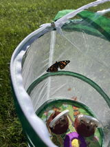 Kristine Bowman review photo