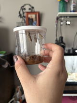 Anonymous review photo