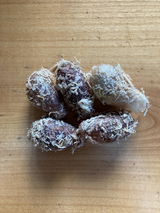 Volker review photo
