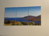 Sandi S. review photo