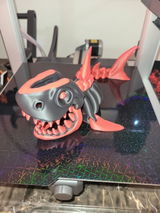 Mina review photo