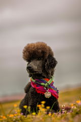 Billie Waddell review photo