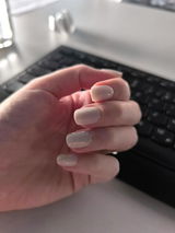 Adina review photo