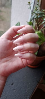 Stefania review photo
