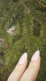 Luiza V. review photo