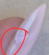 Anca review photo