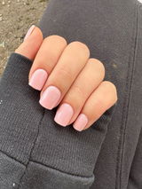 stefania review photo