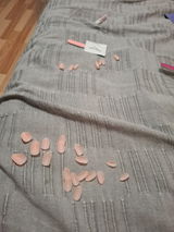 Daria Pirvu review photo