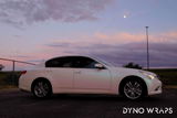 Dino Para review photo