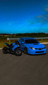 Tarek Sebak review photo