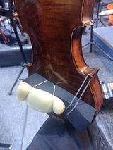 Bastian Gonzalez review photo