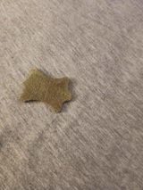 k** g** review photo