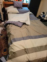 Budge review photo