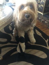 Ruth D. review photo