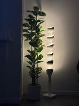 traci review photo