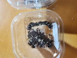 Todd W. review photo