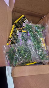 Tracy H. review photo