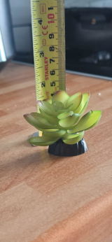 Jenny review photo