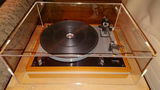 D.F. review photo