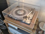 Basil Rudolf review photo