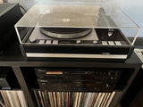 Henrik Nix review photo