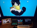 LitlJay review photo