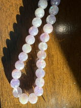 Shari R. Santorelli review photo