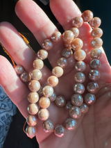 Shari R. Santorelli review photo