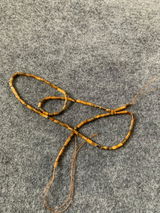 Blaise review photo